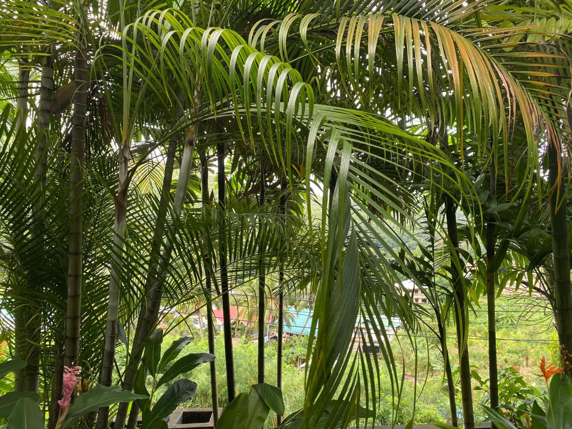 Stephna Residence Anse Boileau Exteriör bild